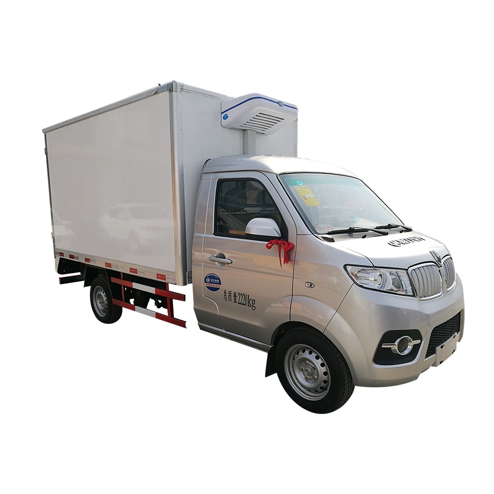 Mini camión congelador refrigerado de 1 tonelada